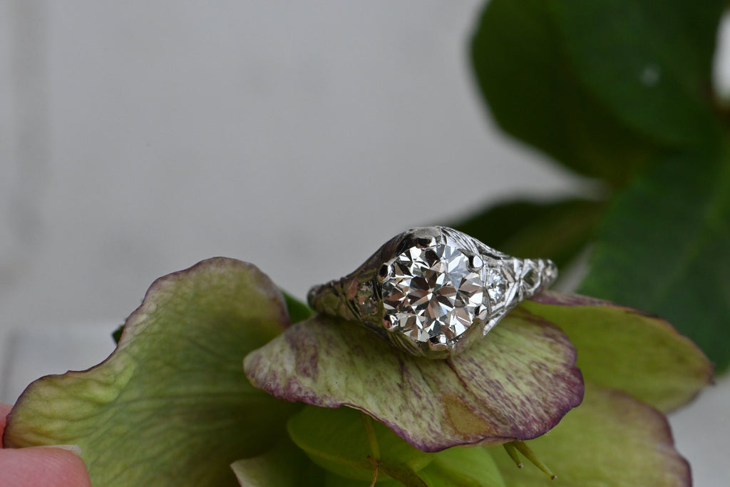 A 1.55 carat old-style circular cut diamond perched in a substantial, hand engraved platinum mounting. This stone has a lovely spread (7.36-7.46mm) and a hint of color, like a fine champagne. Ring on green succulent plant.