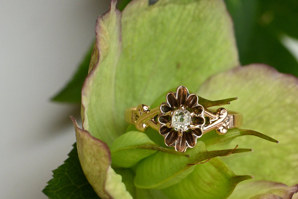 A modest yet plump 17 point old mine cut diamond is prong set at the center of a flared and elongated buttercup mounting. The head reminds me of a little tartlet pan! The shoulders are split with a sweet crossover pattern at the shank. Blushing 14K rose gold. Ring  photographed sitting inside of bright green flower petals.